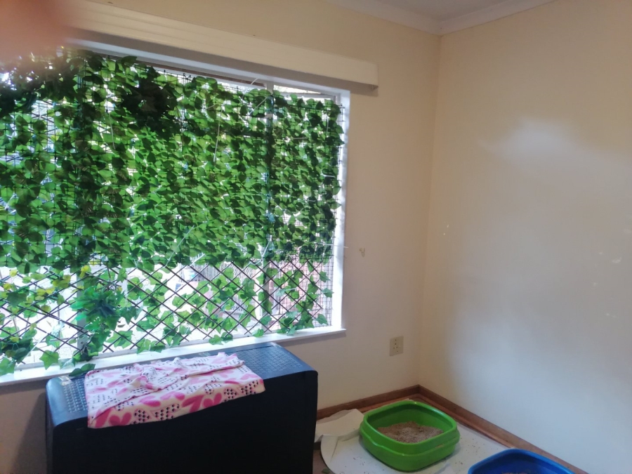 To Let 3 Bedroom Property for Rent in Universitas Free State